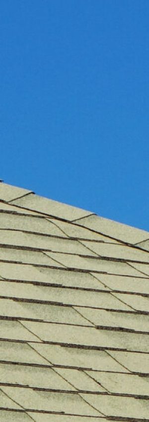 shingled-rooftop-against-a-blue-sky-XR45S4E